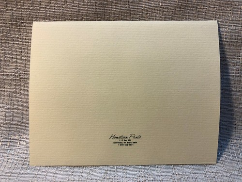 15 tarjetas y sobres de notas de casino del Salón de la Fama del Tenis Internacional Newport - Imagen 2 de 3