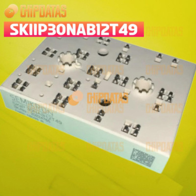 1PCS SKIIP11NAB063T42 SEMIKRON Module expert new quality 100