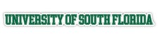 South Florida Bulls College Text Vinyl Decal   White, Clear and Holo