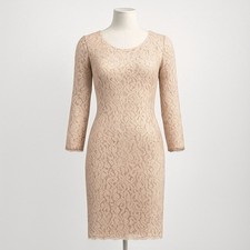 Babaton Rafael Taupe Lace Dress Long Sleeve Cocktail 2 XS Parisian Romantic Twee