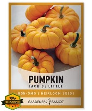 Gardeners Basics Mini Pumpkin Seeds for Planting (Jack Be Little) Small Heirl...