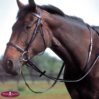 Martingale De Course Velocity Pour Poney - Havana - Marque Shires - Neuve