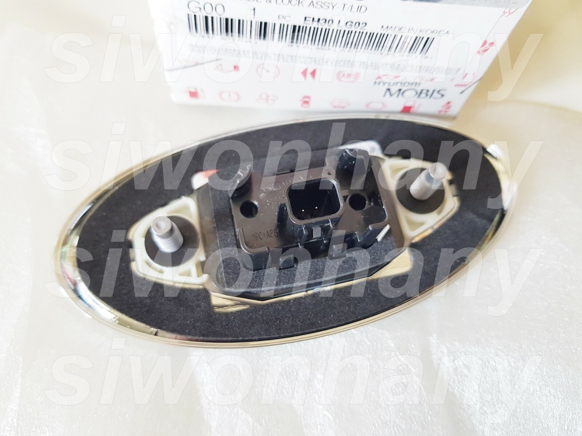 OEM Trunk Lid Outside Handle & Lock ASSY KIa Cadenza K7 2020+
