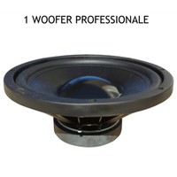 1 Master Audio MA30W/4 Professioneller Woofer 30 Cm 300 Watt RMS Gummisuspension