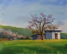 Shed Landscape Oil Painting Midwest Barn Spring 8 x 10 Original Canvas S Whitney
