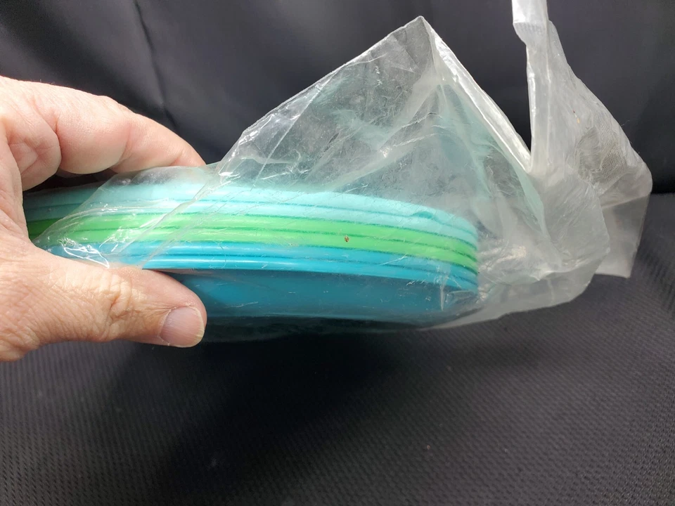 New Set of 6 Pampered Chef Plastic Outdoor Party Picnic 10" Plates Blue & Green - Image 3 of 4