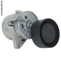 Vaico Riemenspanner, Keilrippenriemen Original Vaico QualitäT Rechts V30-8417