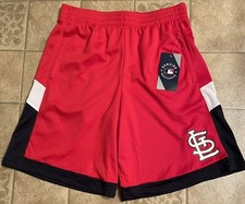 St. Louis Cardinals Collecting and Fan Guide 34