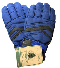 Northwest Territory 100 Gram Thinsulate Lined Adult Gloves Blue Size SMALL
