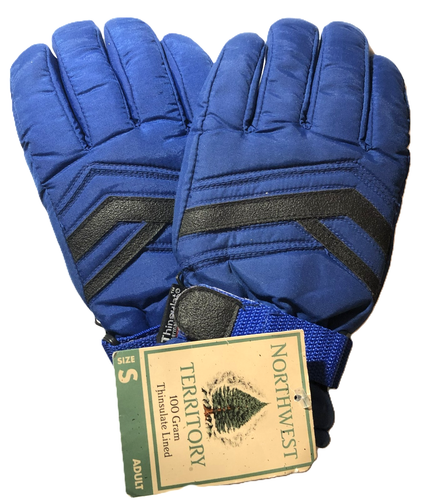 Northwest Territory 100 Gram Thinsulate Lined Adult Gloves Blue Size ...