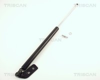 Triscan Heckklappen DäMpfer Gasfeder Kofferraum 8710 50211 FüR Mazda 323 5 BA