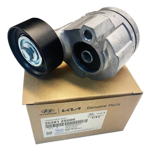 OEM  TENSIONER ASSY 252812S000 FOR HYUNDAI / KIA