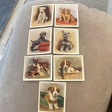 Godfrey Phillips Our Puppies Cigarette Cards x7 Loose UK Issue Pre-WW2 Original