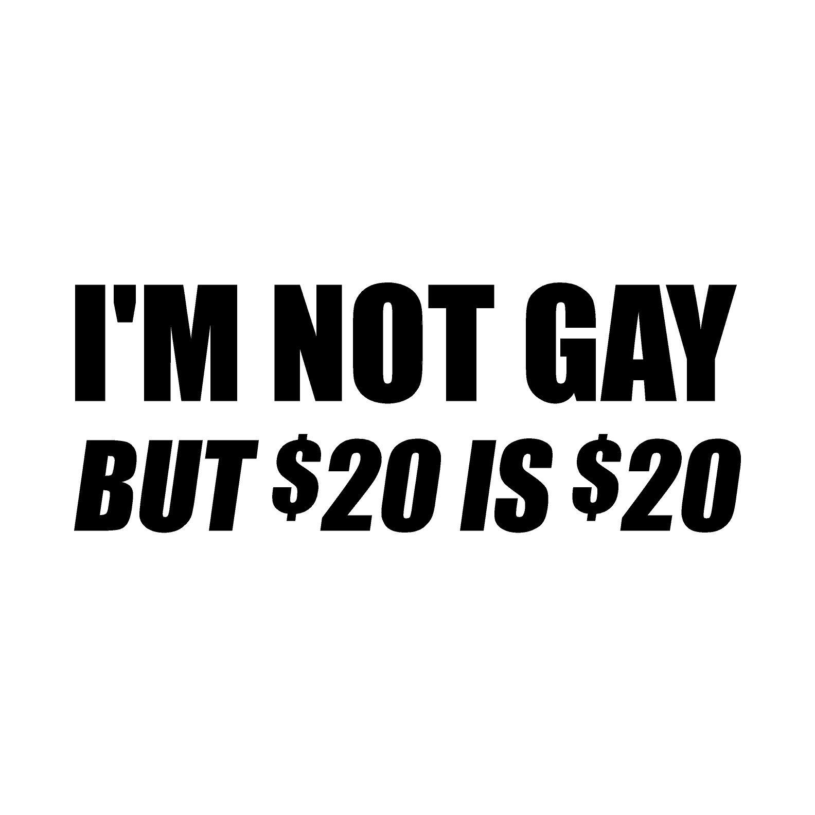 I'M NOT GAY BUT $20 IS $20 FUNNY/JOKE VINYL DECAL / STICKER | eBay