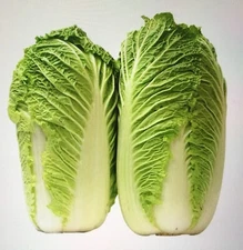 200+Chinese Cabbage Seeds F1-Hybrid Big Heading Cabbage Bok Choy USA