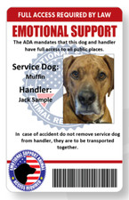 Service/emotional support dog handler ID full color single sided FREE SHIPPING