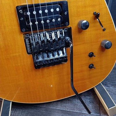 Fernandes Fr-55S Sustainer Floyd Rose Electric Guitar | eBay