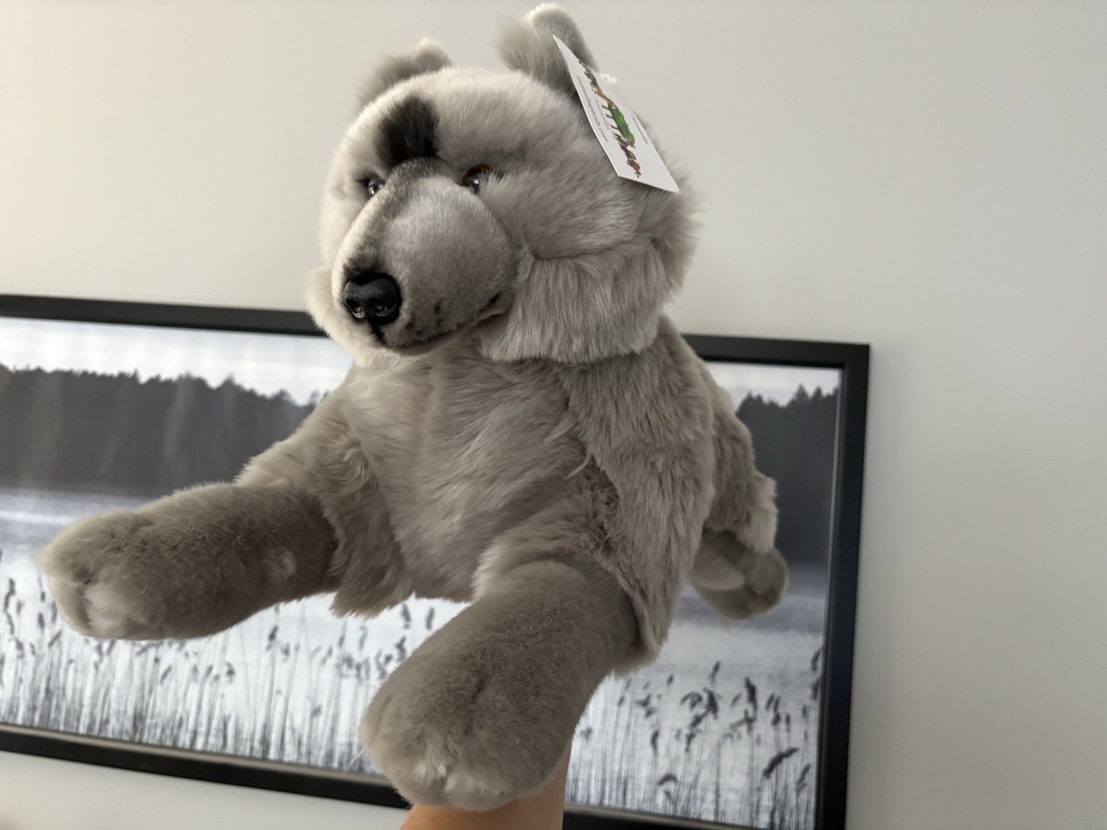 Auswella Gray Wolf Lying Plush BNWT 22”