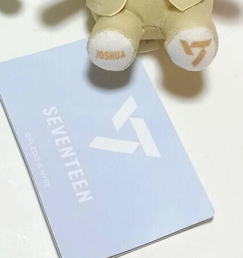 SEVENTEEN Joshua Animal Coordy Mini Plush Doll Plush Toy SECTOR17