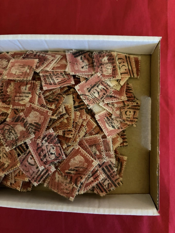 1000 GB QV 1d Placas rojas sueltas en caja placas mixtas Penny Reds SG43 Foto 3 de 3