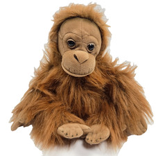 12 Orangutan Plush Aurora