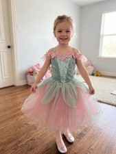 Boutique Woodland Fairy Dress / Premium Ballet Recital Costume - Size MC medium