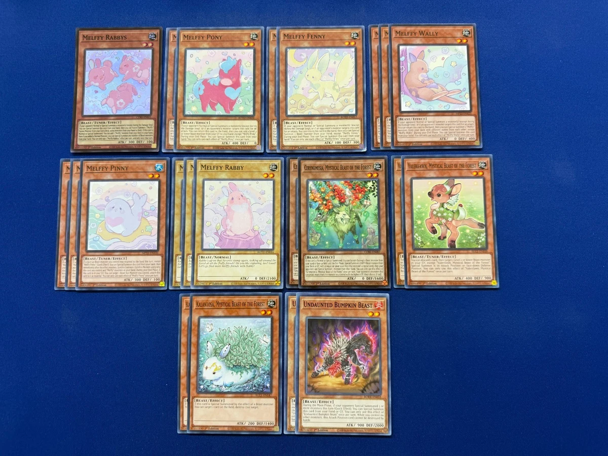 Yu-Gi-Oh! - Complete Melffy Xyz Deck