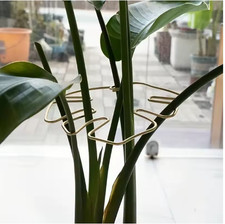 Monstera Leaf Plant Trellis Houseplant Support Grow Vertically Indoor Climbing