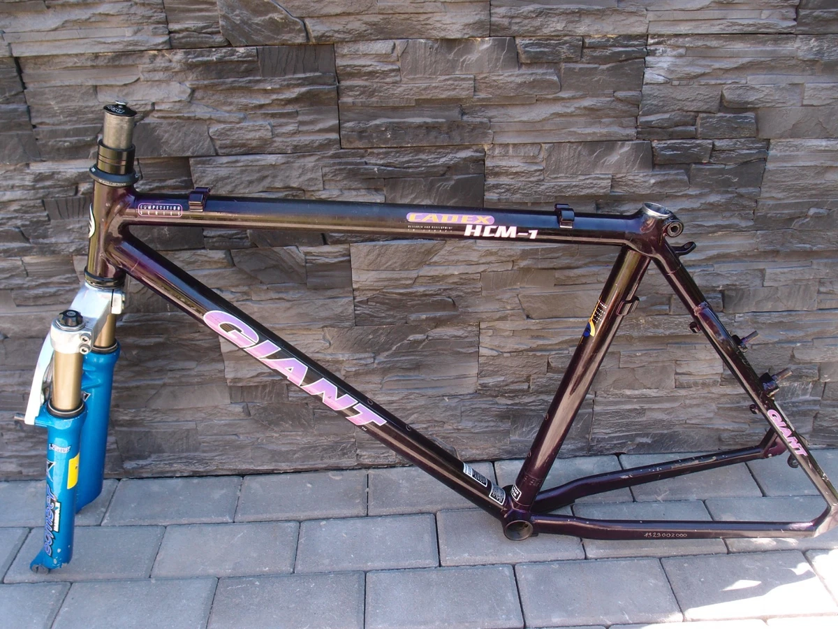 Giant Unisex Adults 26 in Bike Frames for sale | eBay