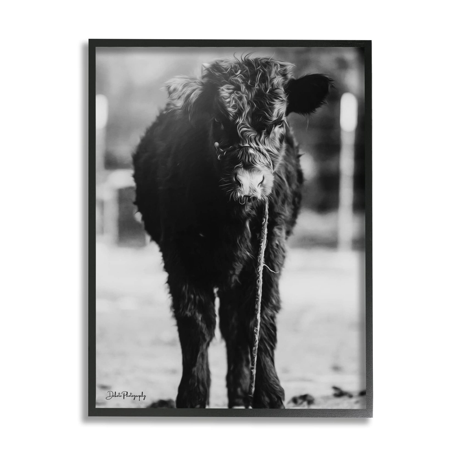 Stupell Industries Baby Cattle Calf Grazing Rural Farm Photography, Design by...
