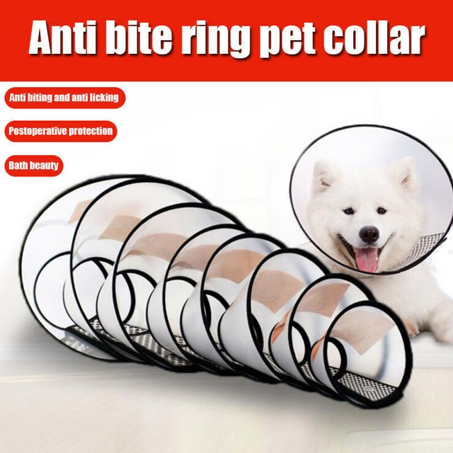 comfy cone pet recovery collar