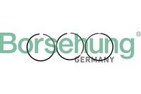 Kolbenringsatz Borsehung B10362 FüR Audi A8 D4 4H2 4H8 4HC 4HL A4 B8 Avant 8K5