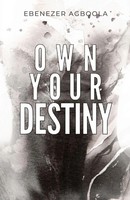Ebenezer Agboola | Own Your Destiny | Taschenbuch | Englisch (2022)