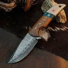 8.2 Drop Point Skinner Knife Damascus Steel Hunting Full Tang Hybrid Handle — photo 2