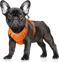 Barkbay Hundegeschirr, Kein Ziehen, Groß, Reflektierend, Mit Frontclip Und