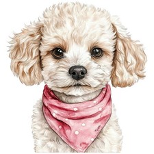 2 adesivi barboncino nano adesivo auto 9 x 9 cm cane barboncino cucciolo anim...