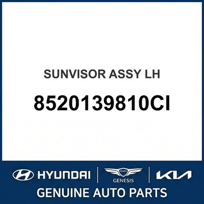 2000-2005 Hyundai XG300 Sonnenblende Montage OEM Neu 8520139810CI