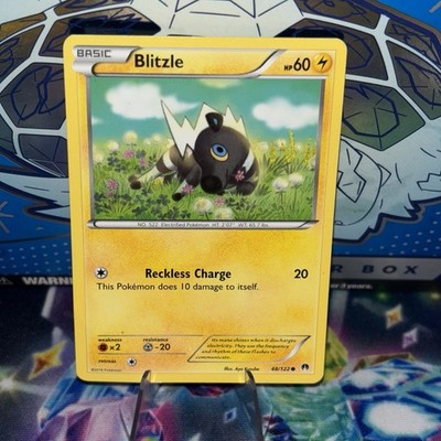 Blitzle 48/122 Breakpoint Regular