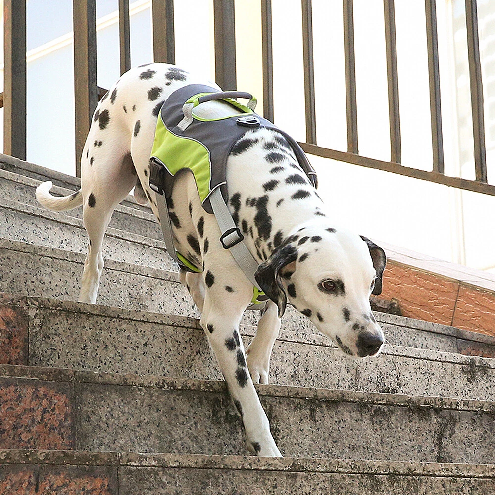 Dog Harness Mesh Padded Reflective Large Dogs Training Vest No Pull for Pit Bull Dog Harness Mesh Padded Reflective Large Dogs Training Vest No Pull for Pit Bull