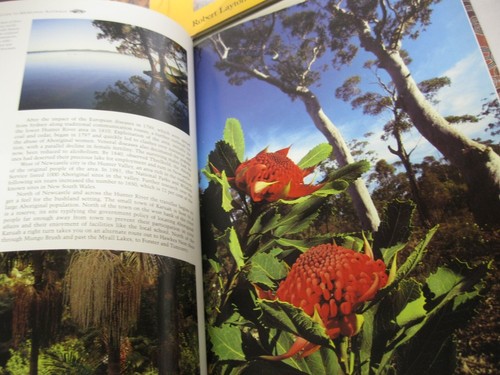Aboriginal Australia Living Heritage Rock Art Burnum Torres Strait 5 Books Photo - Imagen 5 de 12