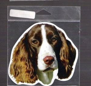 English Spaniel 4 inch face magnet for car or anything metal     New