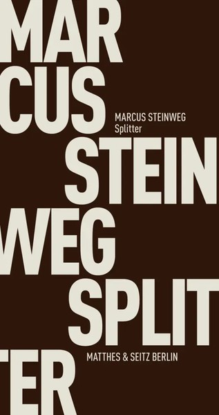Marcus Steinweg | Splitter | Taschenbuch | Deutsch (2017) | Klappenbroschur-image