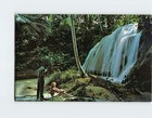 Postcard By A Typical Jamaican Waterfall Jamaica