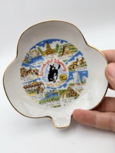 Vintage Wyoming Souvenir Porcelain Trinket Tray Pin Dish Wonderful Wyoming