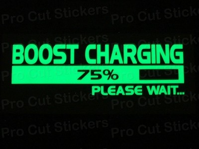 Boost Charging Small to Large Glow in the Dark Luminescent Vinyl ...