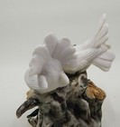 Foto 10 di 12