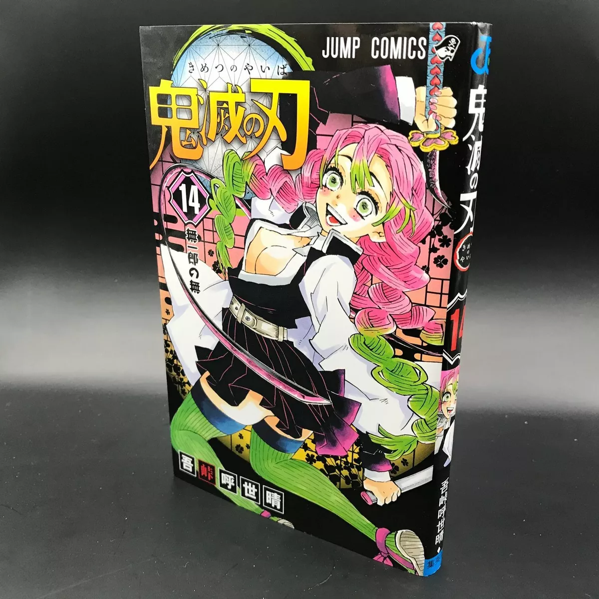 Demon Slayer Kimetsu No Yaiba Manga Volume 14