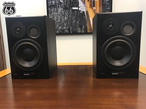 dynaudio bm15a