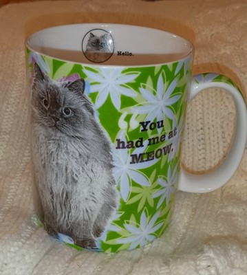 Konitz Feline Classics Fluffy Cat  You Had Me At Meow   Hello  Inside Coffee Mug