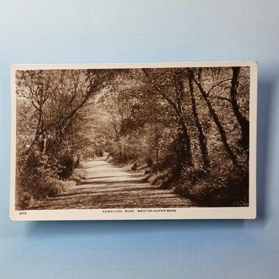 Weston Super Mare Somerset Postkarte 1949 Echtfoto Kewstoke Road Dame Hund Mütze